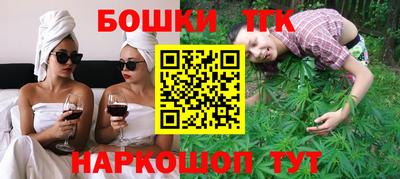 мдпв Камышлов