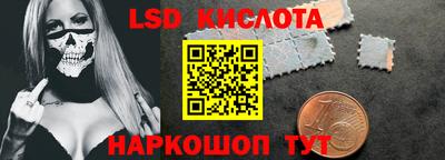 мдпв Камышлов