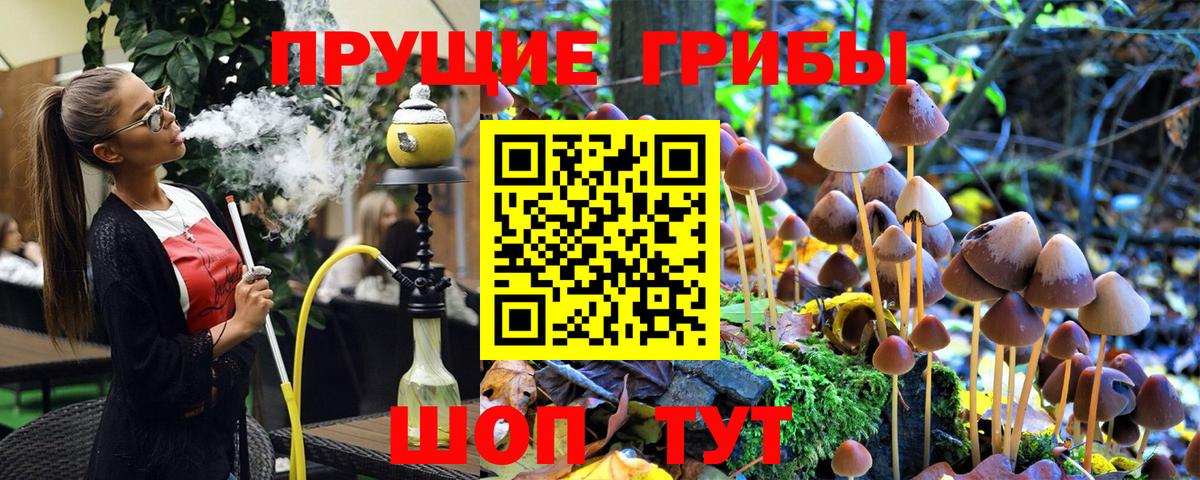 Псилоцибиновые грибы Psilocybine cubensis Лесозаводск