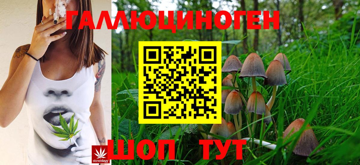 Лесозаводск  Галлюциногенные грибы GOLDEN TEACHER  Вход с VPN 